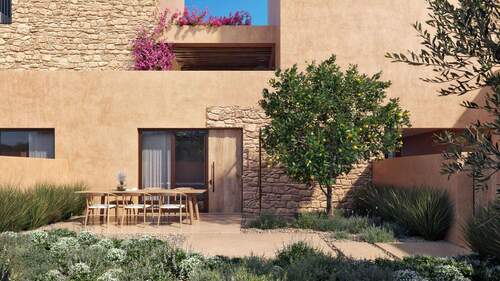 Olive Courtyard Collection - 