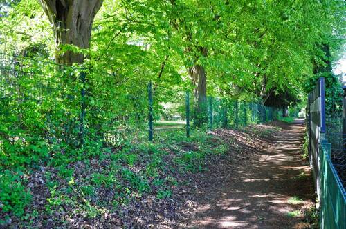 Weg hinter dem Haus - 