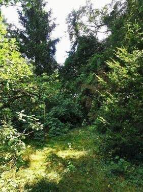 Gl. NB 14.jpg - Nahe Hermsdorf. Sehr schönes Baugrundstück ohne Abriss für eine DHH als Stadthaus