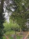 Garten 3.jpg - 