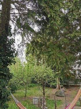 Garten 3.jpg - 