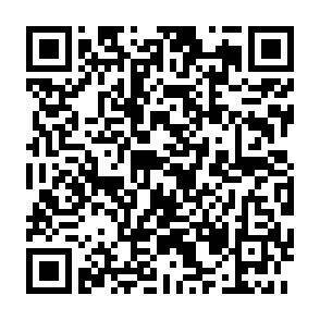 QR-Code - 3 Zimmer Etagenwohnung in Waldshut-Tiengen