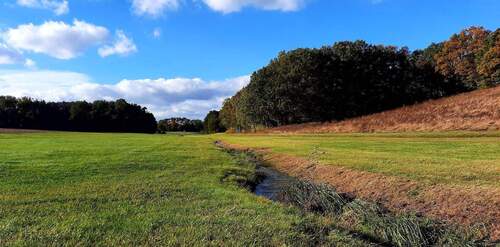 Sommer in Oberreichenbach - 