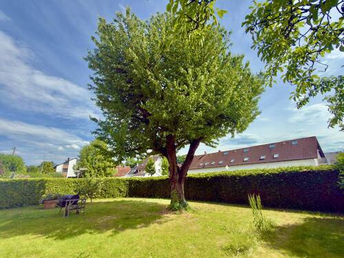 Garten - Charmantes, älteres Haus auf einem sonnigen Grundstück