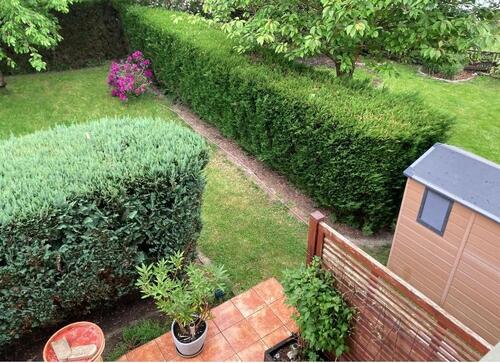Garten - 