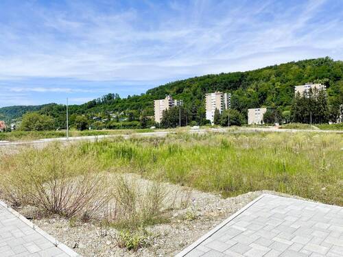 1.130 m² - Grundstück zum Kaufen in Grenzach-Wyhlen