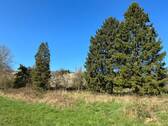 Gartenansicht - 