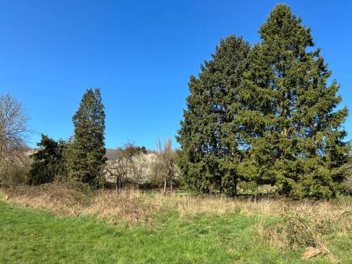 Gartenansicht - 