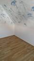 Zimmer DG - 