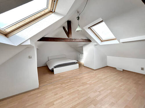 Zimmer DG - 