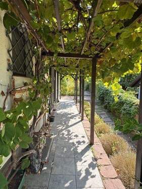 gepflegter Aussenbereich - 