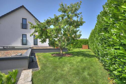 Obst-Gemüse-Garten - 7 Zimmer Einfamilienhaus in Gemmingen / Stebbach