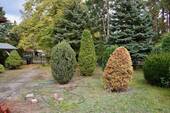 Im Garten - 