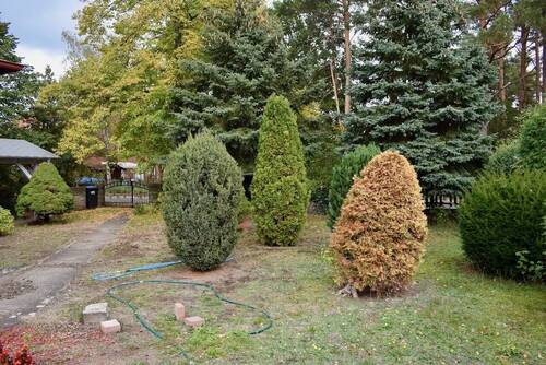 Im Garten - 