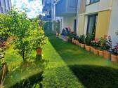Bild 2 - 4 Zimmer Etagenwohnung zur Miete in Bad Rappenau