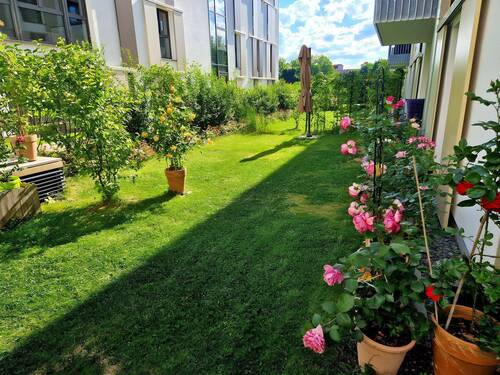 Bild 3 - 4 Zimmer Etagenwohnung in Bad Rappenau