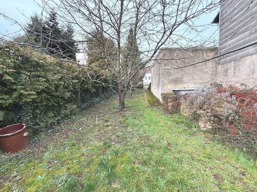 Garten mit Obstbäumen - 