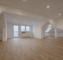 Erstbezug Dachgeschoss-Loft mit Balkon | offen, modern | Dresden-Pieschen
