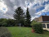 Gemeinschaftsgarten - 