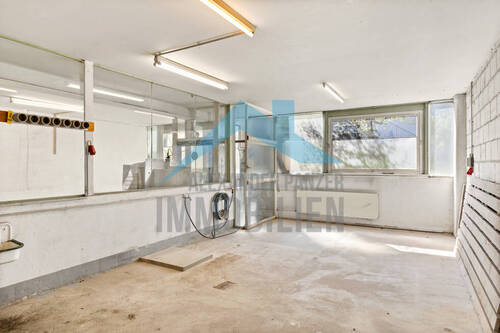 Impressionen - 