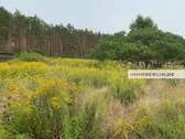 Bild 3 - 420.000,00 EUR Kaufpreis, ca.  0,00 m²