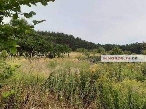 Bild 5 - Grundstück zum Kaufen in Königs Wusterhausen