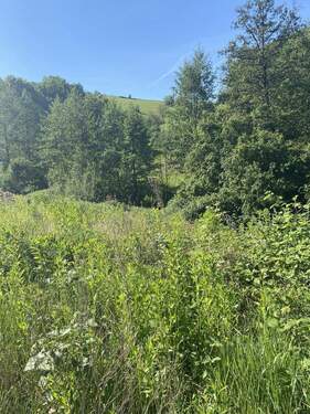 Blick ins Grüne - Grundstück zum Kaufen in Gorxheimertal