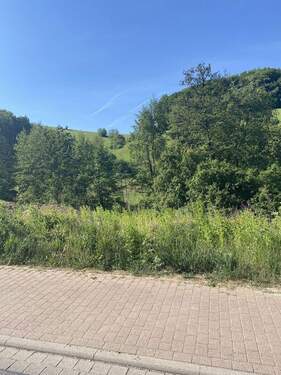Blick von der Straße - Grundstück in Gorxheimertal