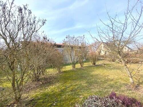 Garten mit Bäumen und Sträuchern - 