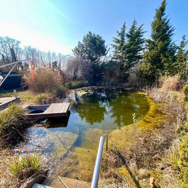 Schwimmteich ca. 100qm - 