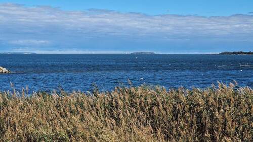 Rügen, Insel Oie, Usedom mit Peeneeinfahrt.jpg - 