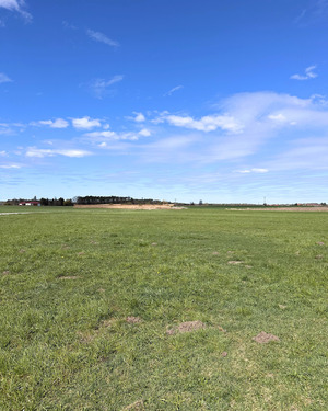 mit grüner Umgebung - 