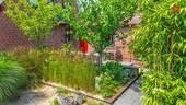 Terrasse 2 - 