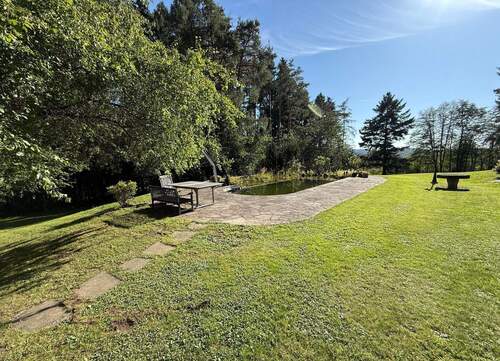 Schwimmteich mitten in der Natur - 