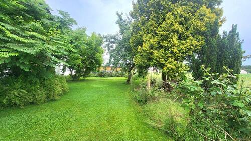 Garten - 