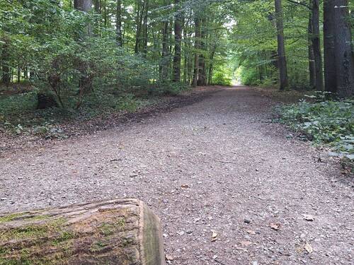 Erholungspfad - Etagenwohnung mit 80,00 m&sup2; in Oberursel (Taunus) zum Kaufen