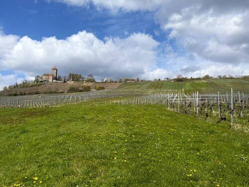 Burgblick - Traumhaftes Baugrundstück mit Burgblick