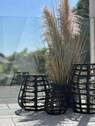 Ambiente-Terrasse - 
