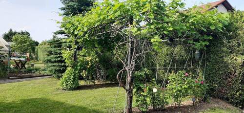 Bild 2 - 9 Zimmer Mehrfamilienhaus, Wohnhaus zum Kaufen in Spraitbach