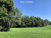 Wiesen und Wälder - 