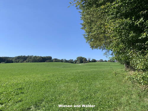 Wiesen und Wälder - 