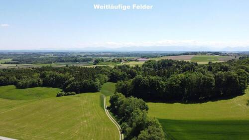 Weitläufige Felder - 