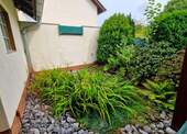 Teich - 