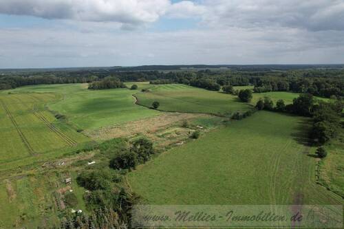 Bild 2 - 1 Zimmer Einfamilienhaus zum Kaufen in Bergen Dumme