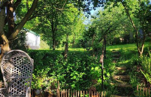 Blick in den Garten - 