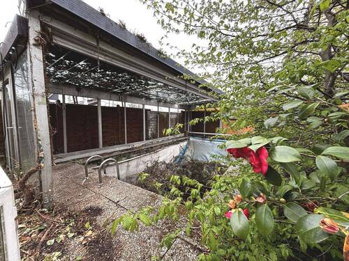 Stillgelegter Pool - 