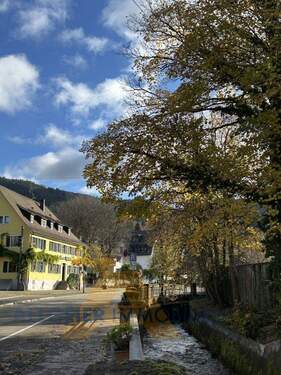 Impression Günterstal - 