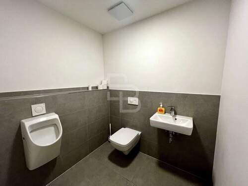 Modernes Herren WC - 