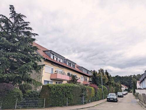 Blick in die Umgebung - 