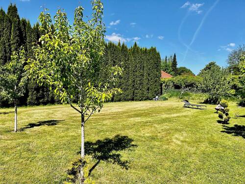 mit großem Garten - 